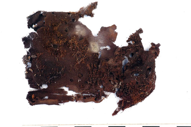 Fragment textilie, ÚPS v Českých Budějovicích, MF kláštera v Plasích