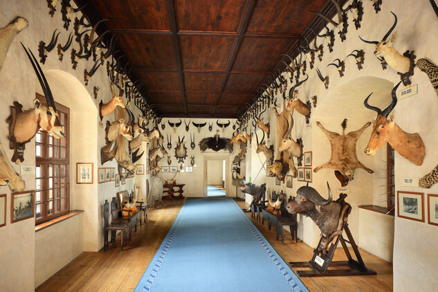 Africký sál, SZ Telč